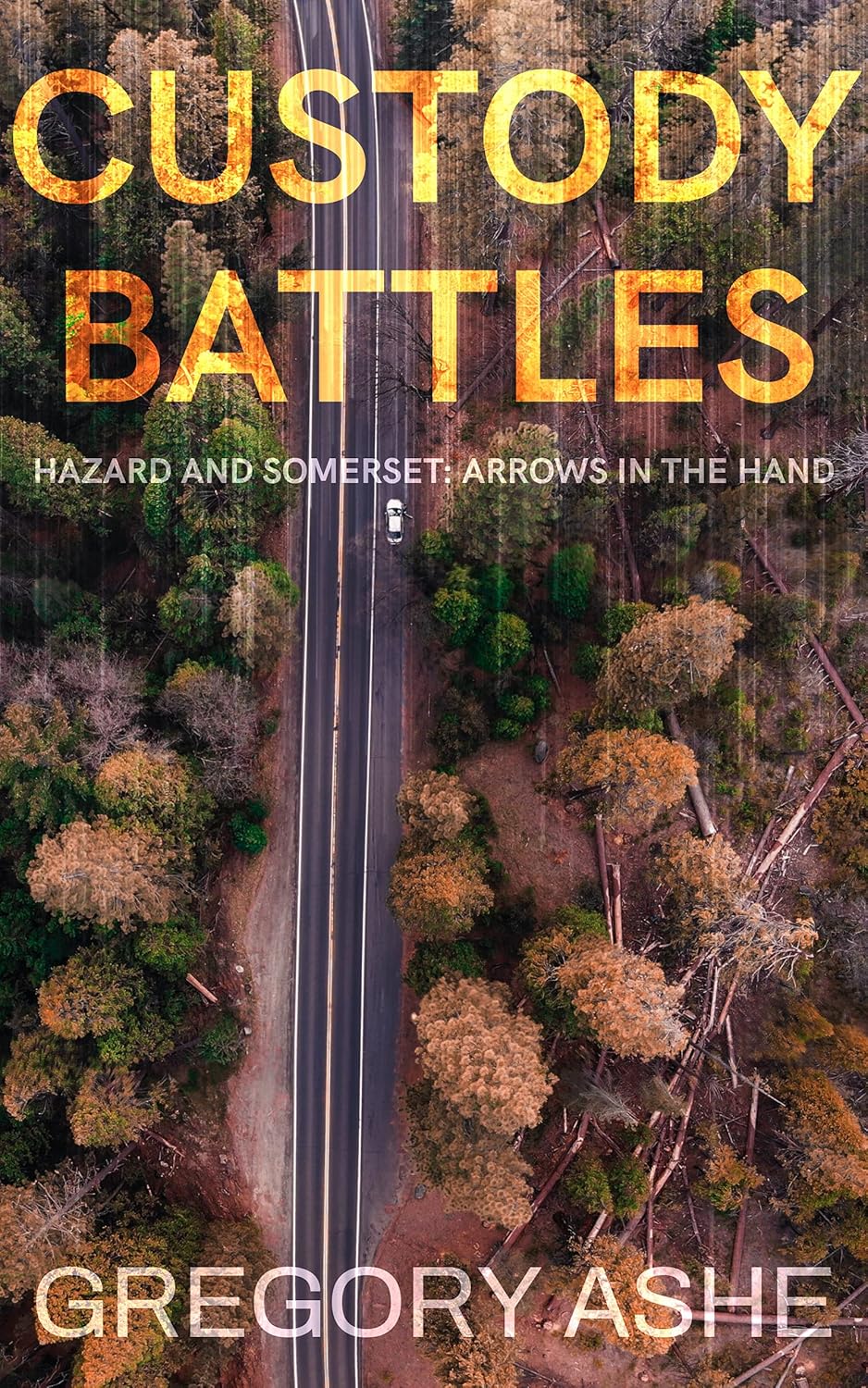 Cover of Custody Battles