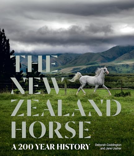 New Zealand Horse