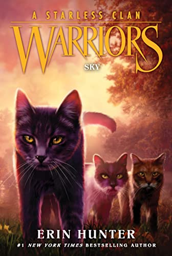 Cover of Sky