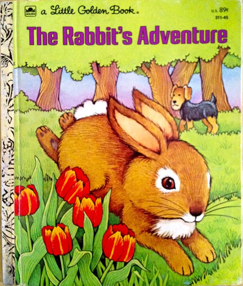 Cover of The Rabbit's Adventure