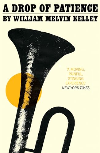 Cover of A Drop of Patience