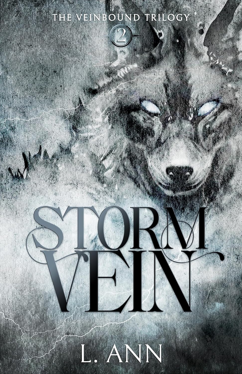 Cover of Stormvein