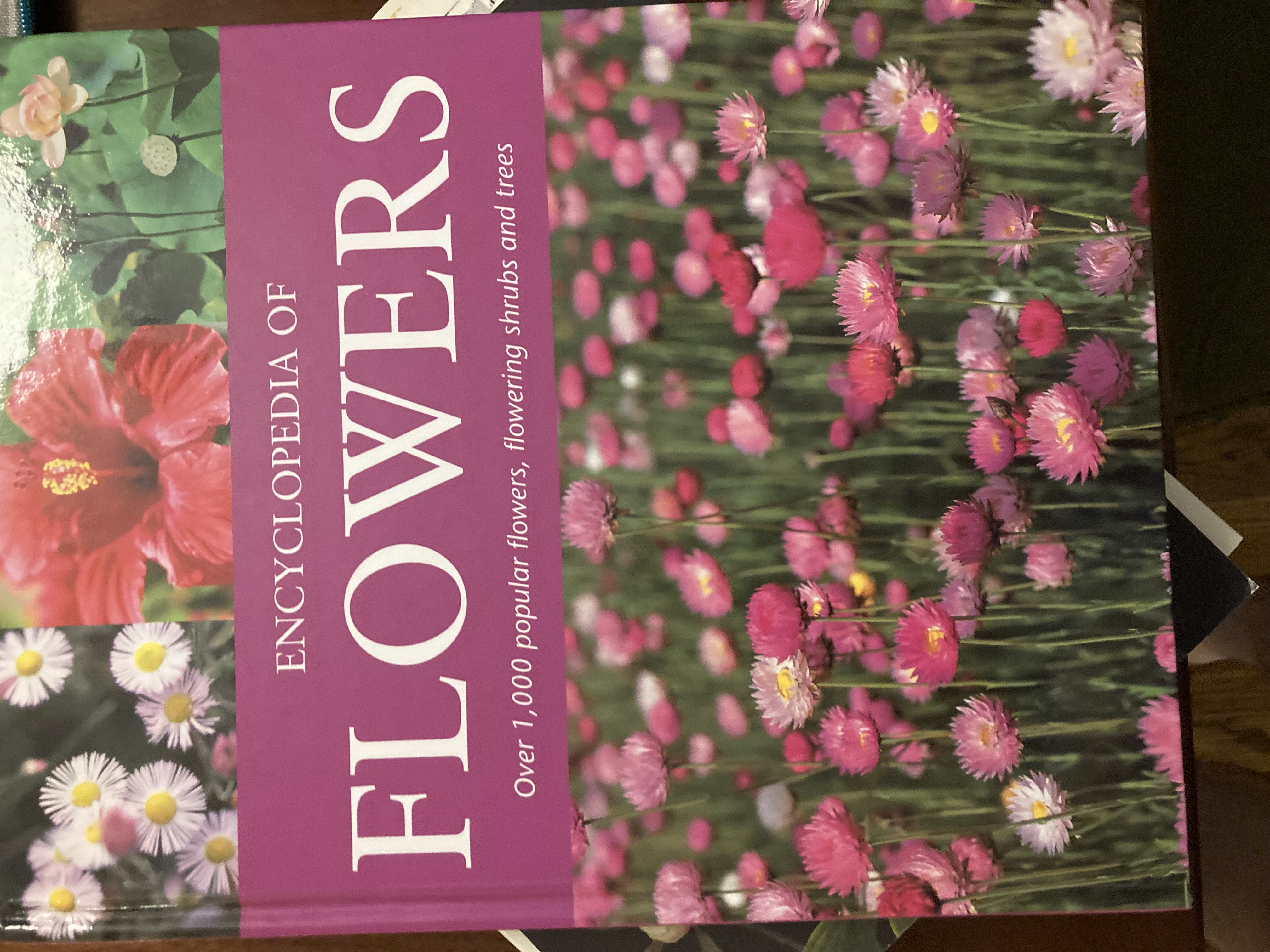 Encyclopedia of Flowers : Over 1,000 popular flowers, flowering shrubs and trees