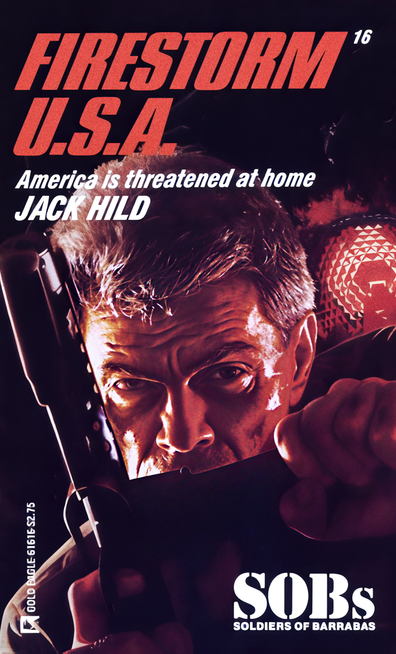 Cover of Firestorm U.S.A.