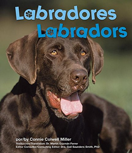 Labradores/ Labradors
