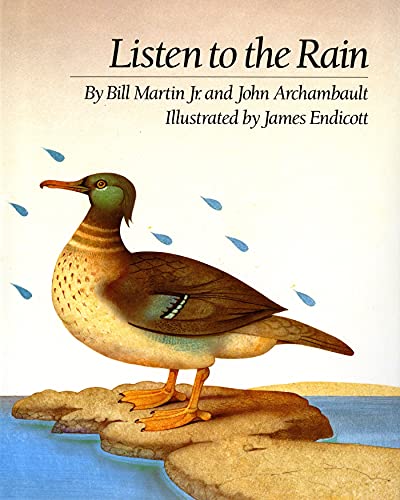 Cover of Listen to the rain