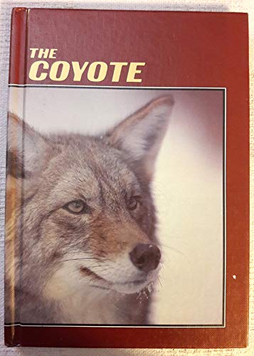 The Coyote