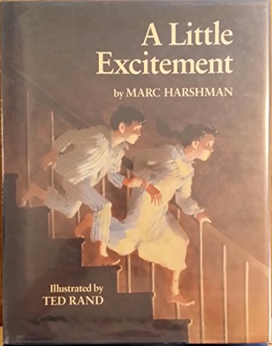 Cover of A Little Excitement