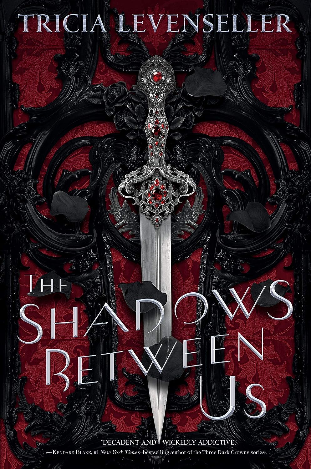 Book cover for The Shadows Between Us