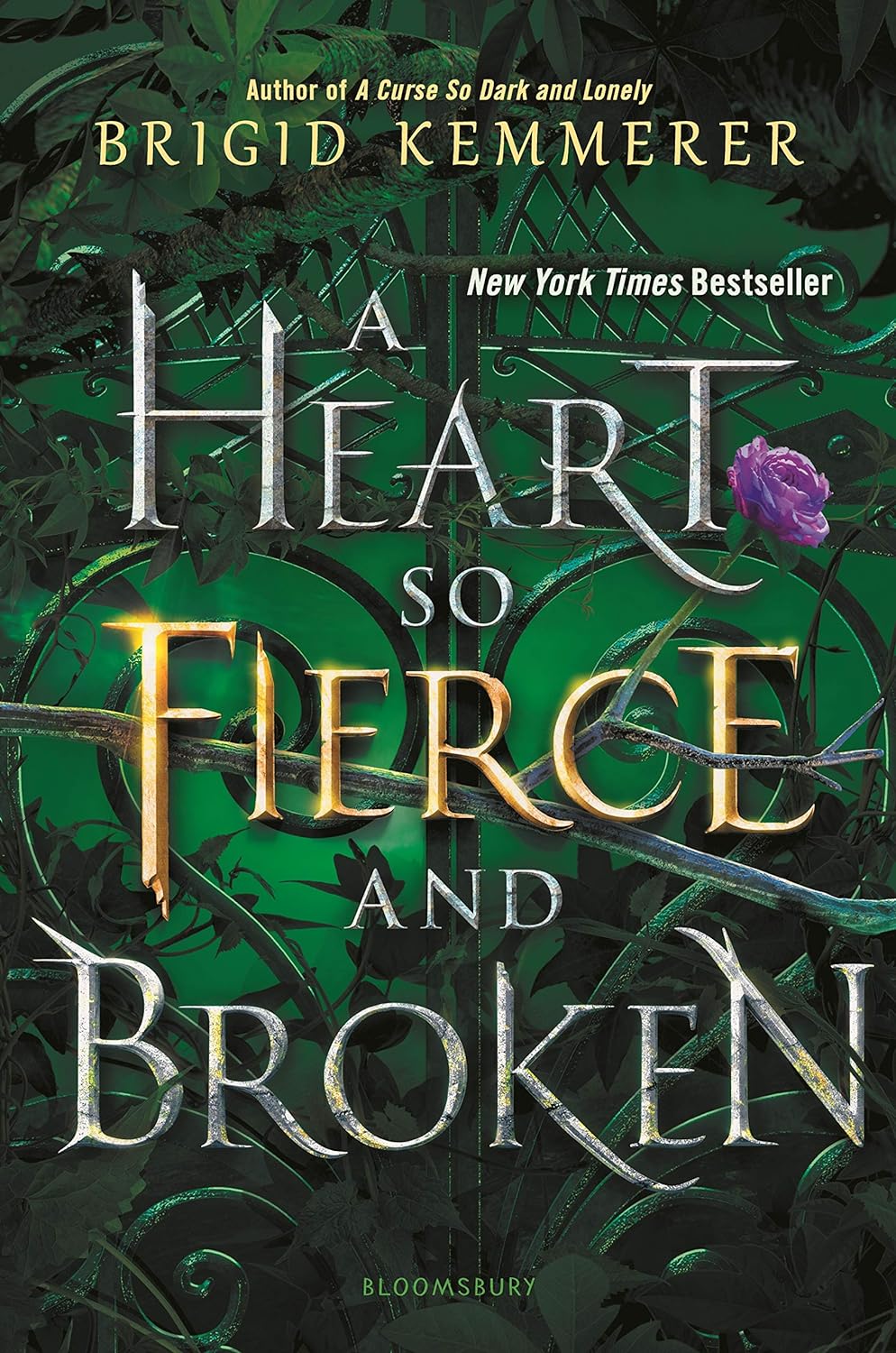 Cover of Heart So Fierce and Broken