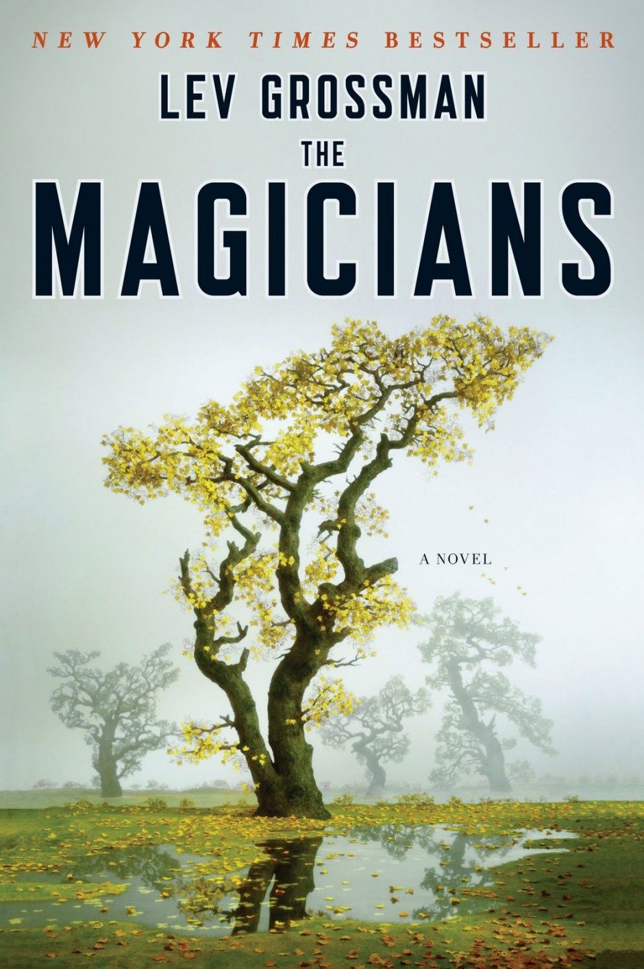 Cover of The Magicians