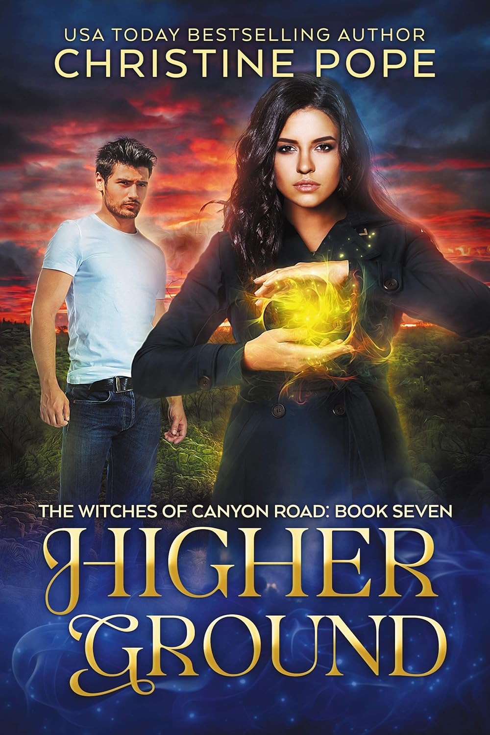 Cover of Higher Ground
