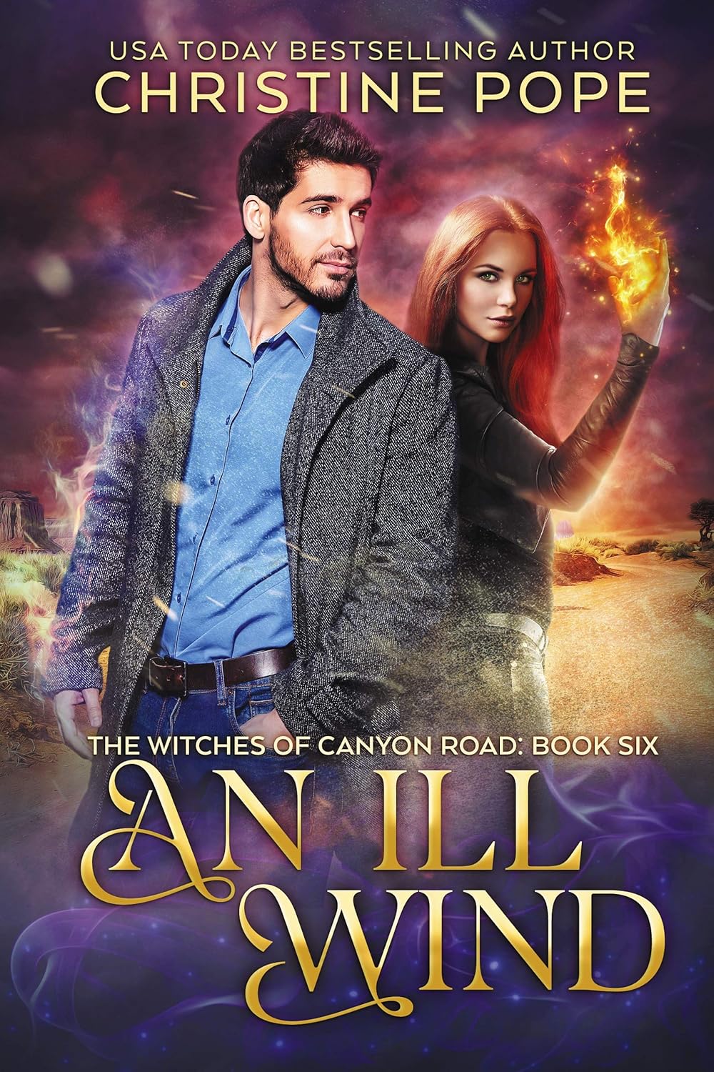 Cover of An Ill Wind