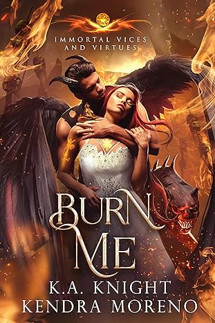 Cover of Burn Me