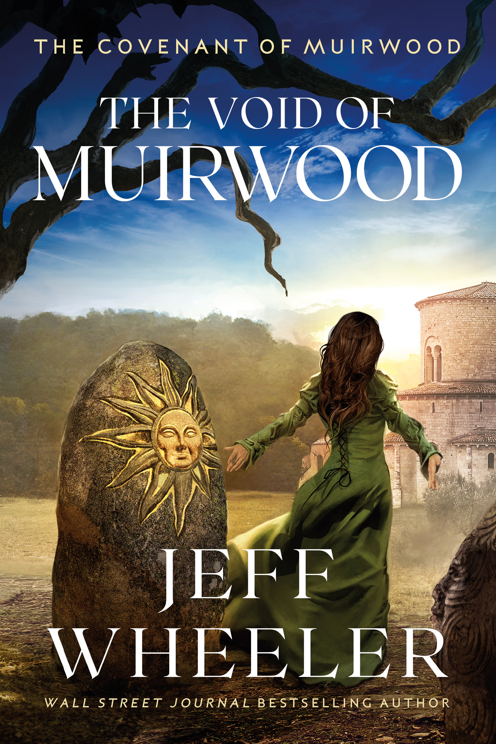 Cover of The Void of Muirwood