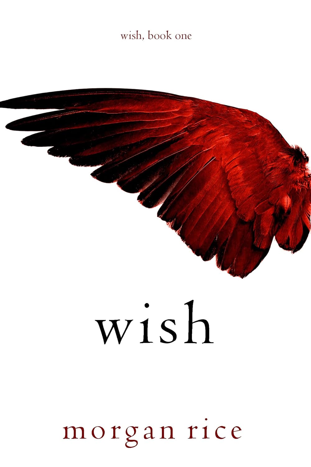 Cover of Wish