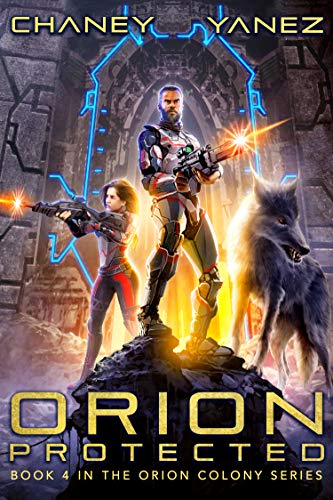 Cover of Orion Protected