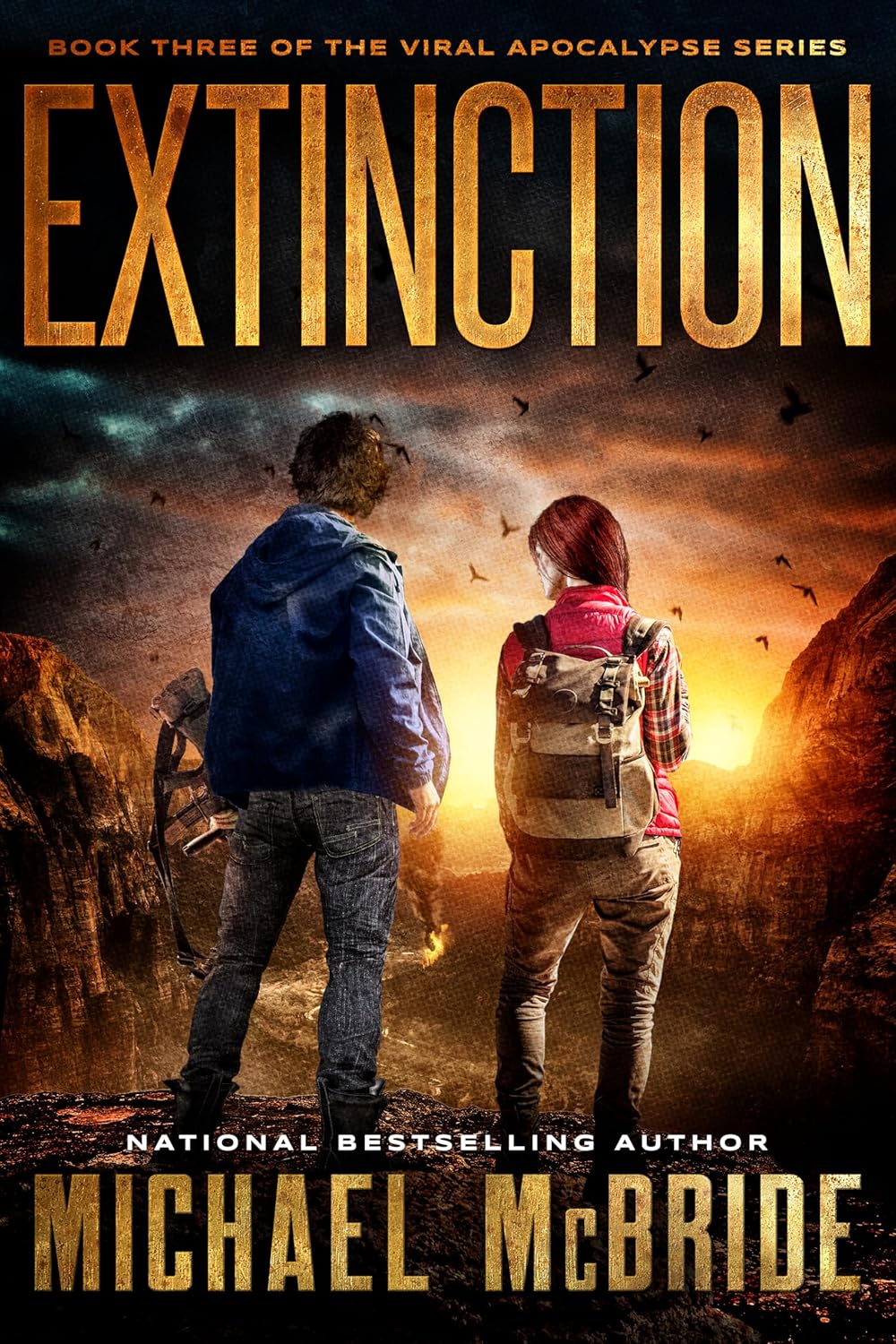 Cover of Extinction