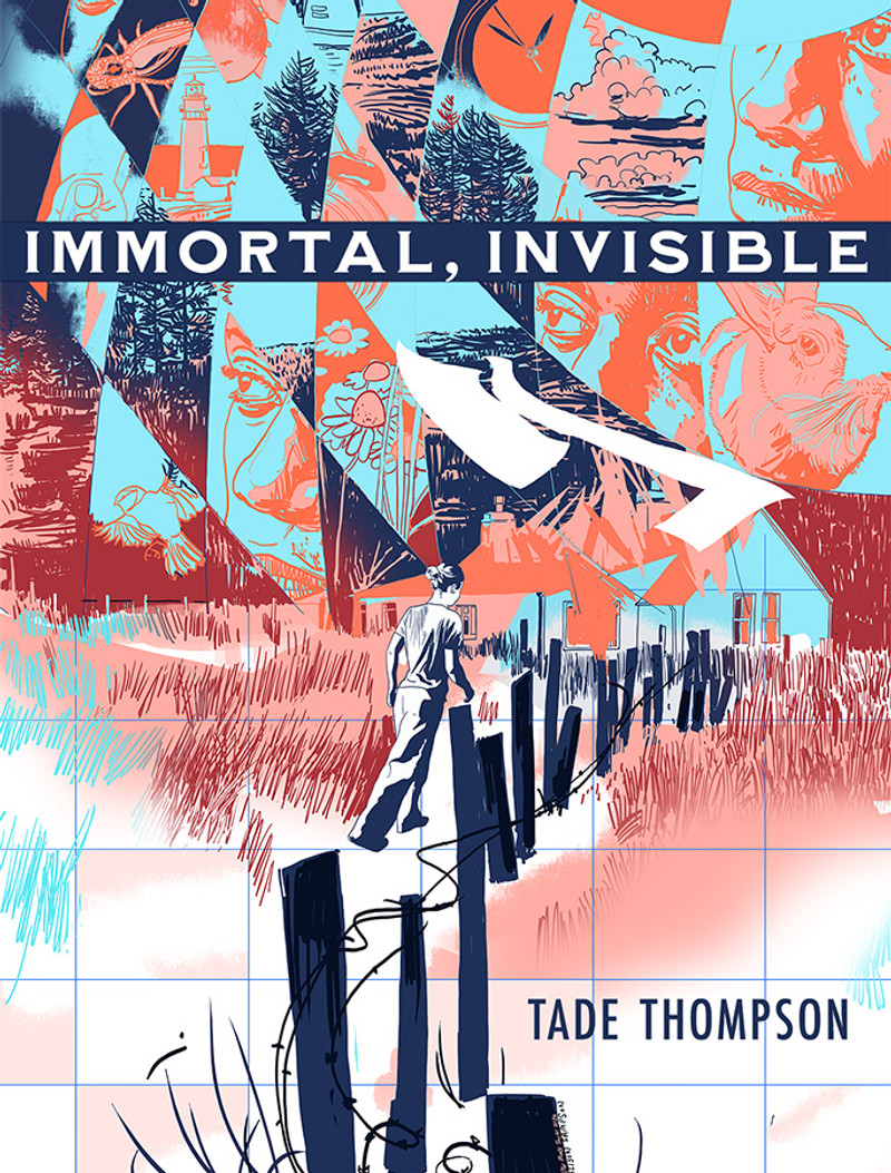 Cover of Immortal, Invisible