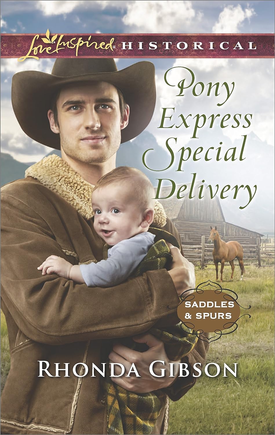 Cover of Pony Express Special Delivery