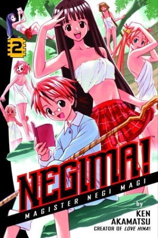 Cover of Negima! Magister Negi Magi, Vol. 2