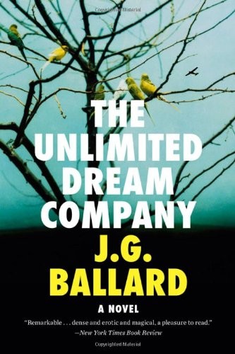 Cover of The Unlimited Dream Company