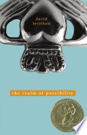 Cover of The Realm of Possibility