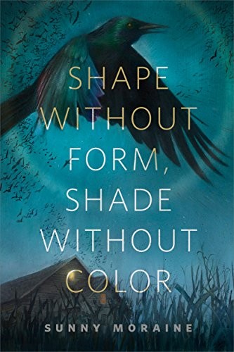 Cover of Shape Without Form, Shade Without Color