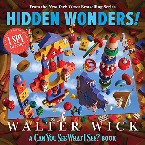 Cover of Can You See What I See?: Hidden Wonders