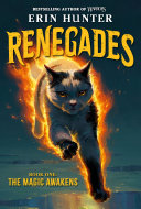 Cover of The Magic Awakens