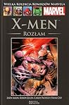 X-Men: Rozlam