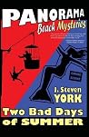 Cover of Two Bad Days of Summer