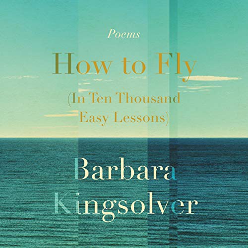 How to Fly: In Ten Thousand Easy Lessons