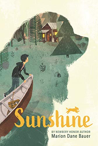 Cover of Sunshine