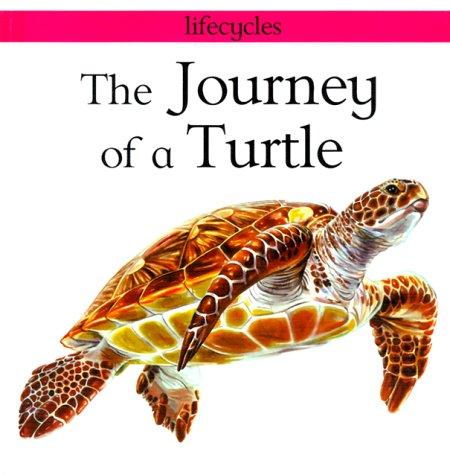 Cover of The Journey of a Turtle