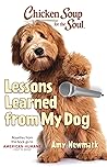Chicken Soup for the Soul: Lessons Learned from My Dog: 101 Tales of Friendship & Fun