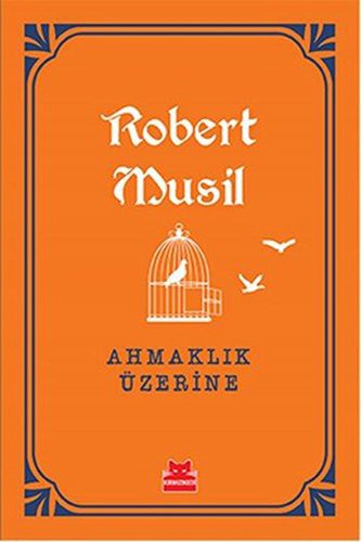 Cover of Ahmaklik Uzerine