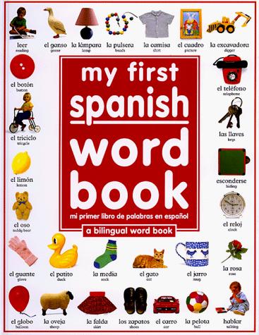 My 1st Spanish Word Book / Mi Primer Libro De Palabras EnEspanol: A Bilingual Word Book