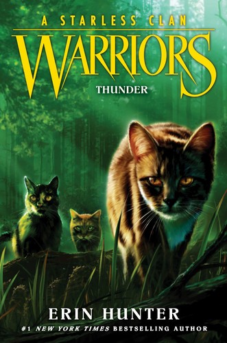 Cover of Thunder