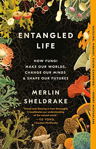 Cover of Entangled Life: How Fungi Make Our Worlds, Change Our Minds & Shape Our Futures