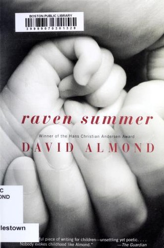 Cover of Raven summer
