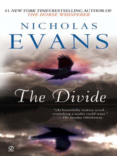 Cover of The Divide