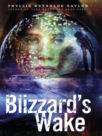 Cover of Blizzard's Wake