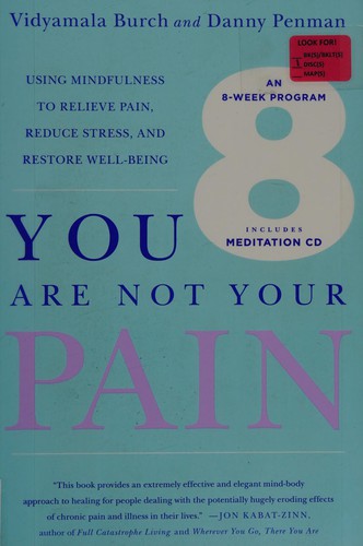 Cover of You are not your pain