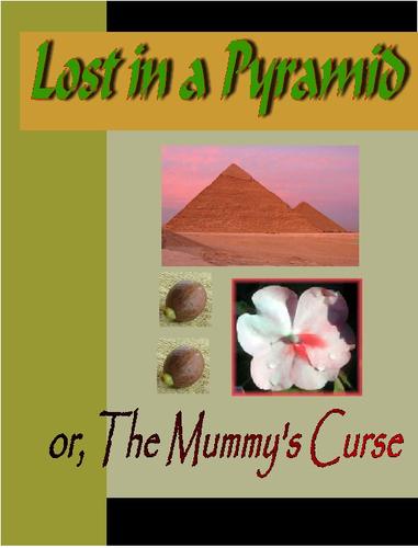 Cover of Lost in a Pyramid or the Mummy's Curse