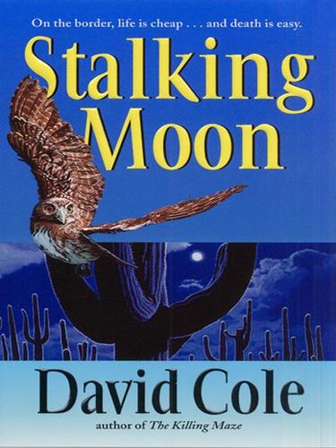 Cover of Stalking Moon