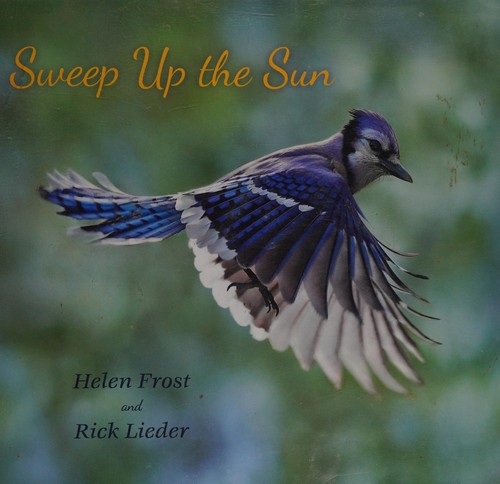 Cover of Sweep Up the Sun
