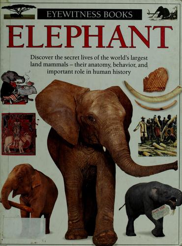 Cover of Elephant