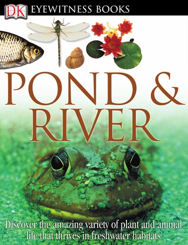 Pond & River