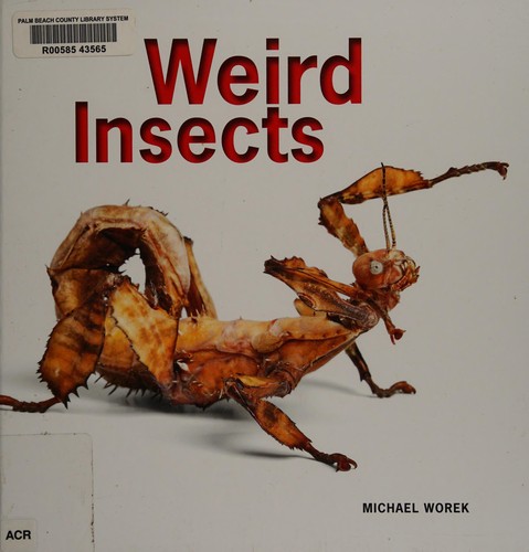 Weird Insects